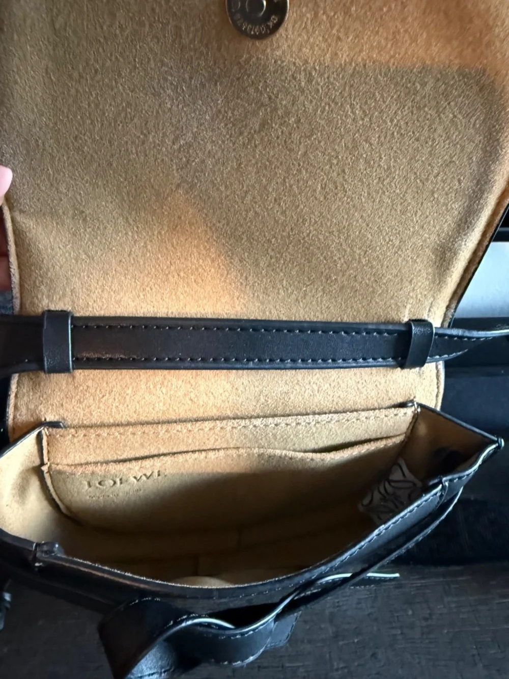 Loewe Dual Mini Crossbody Bag